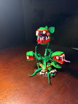 Erin review photo
