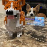 Daisy S. review photo