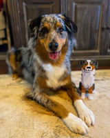 Jake review photo