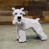 Karl A. review photo