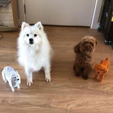 Zuzanna W. review photo