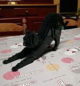 Jacky review photo