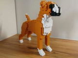 Inge N. review photo