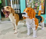 Maya review photo