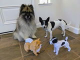 Jacy N. review photo