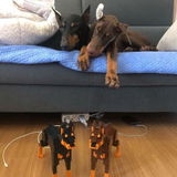 Zoey T. review photo