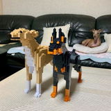 Anton A. review photo