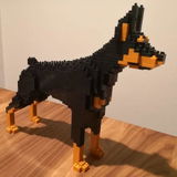 Ben A. review photo