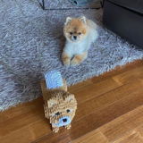 Loes A. review photo