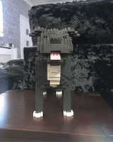 Santiago R. review photo