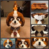 Paula K. review photo