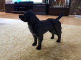 Benjamin U. review photo