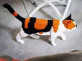 Jake H. review photo