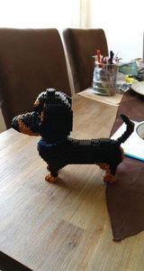 Ineke A. review photo