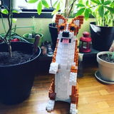 Ryan W. review photo