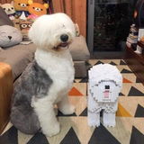 Natacha G. review photo