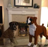 Toby review photo