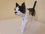 Macy H. review photo