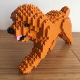 Gregg N. review photo