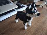 Evyn review photo