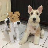 max l. review photo
