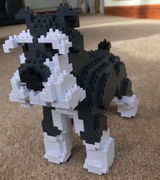 Ben P. review photo