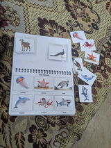 SYEDA AIMAN review photo