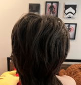 Mir review photo