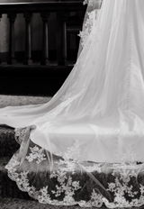 STUNNING Mid-Lace Cathedral Veil