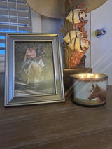 Teresa Shand review photo