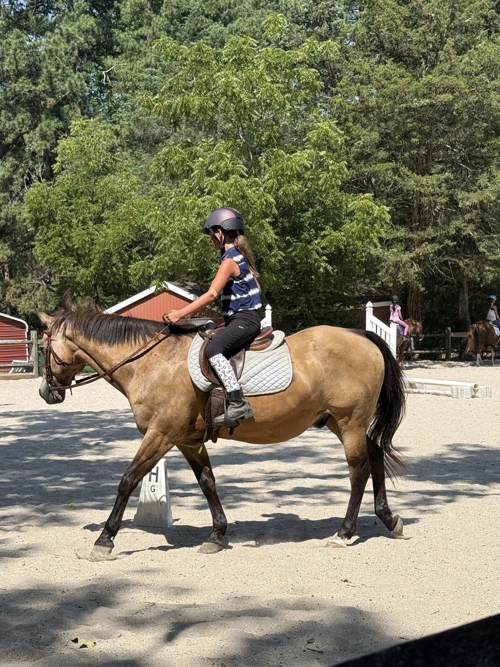 Snaffle Bit Riding Socks
