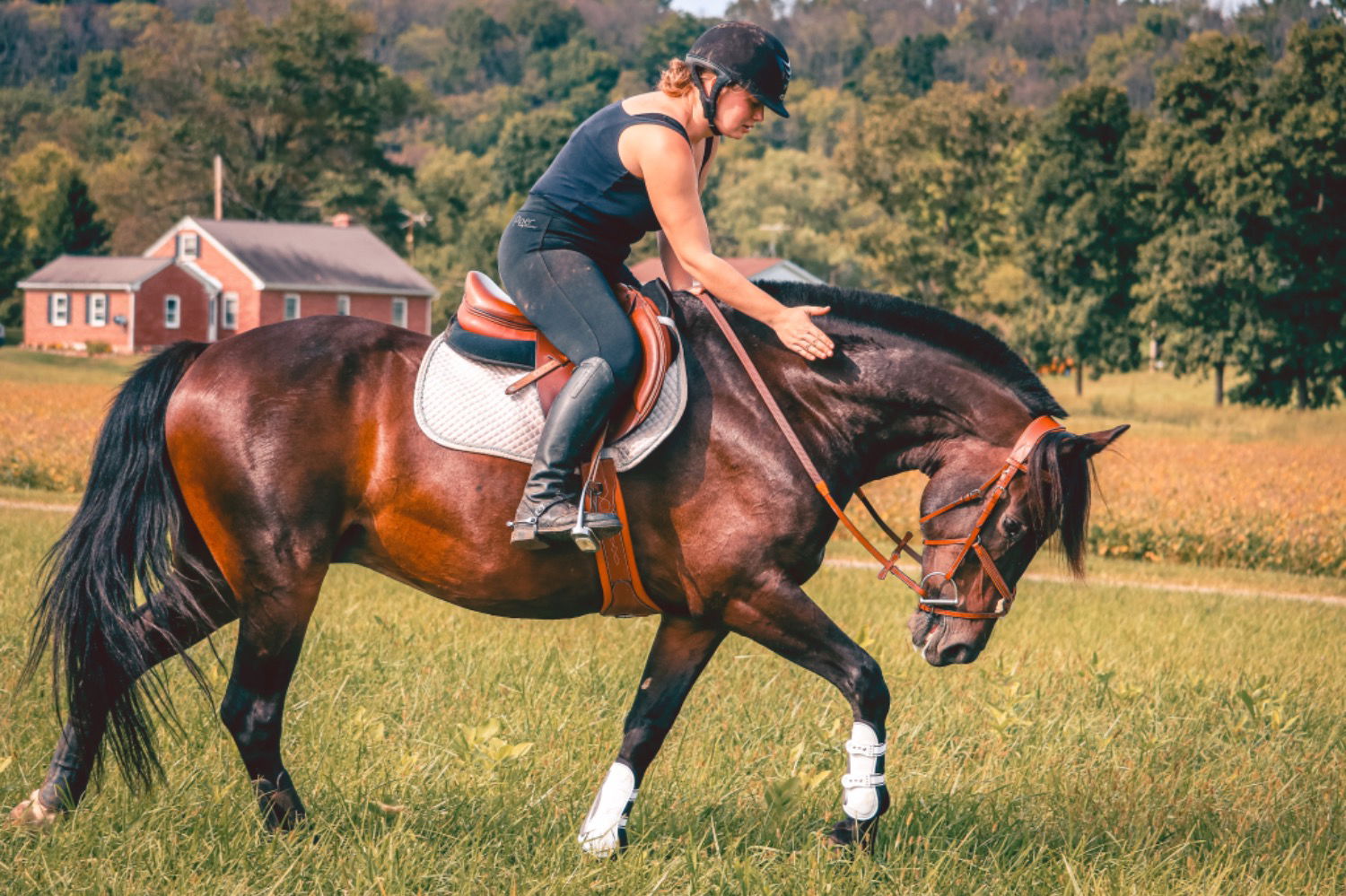 ExionPro 'Joint' Over Lay Girth - Matching Elastic | Horse Girths