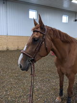 Jamie Speers review photo