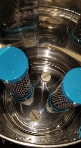 Shannon review photo
