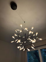 Susanna S review photo