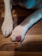 Anonymous review photo