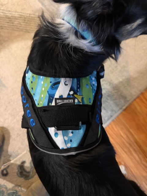 BrilliantK9 Custom Fabric Harness, Backpack Etc