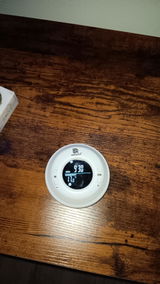 Michaela Ammeter review photo