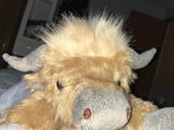 Anke S. review photo