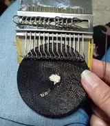 Shruti M. review photo
