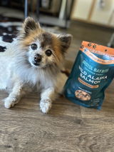 Teddy K. review photo