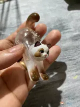 S.P. review photo