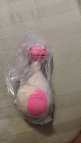 S.R. review photo