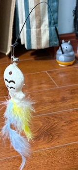 H.T. review photo