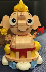 Ranju Nair review photo