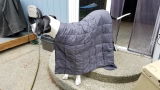 Amazon customer review photo