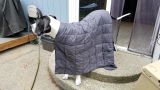 Amazon customer review photo