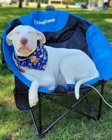 Dog Mom 2 review photo