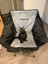 Amazon Customer review photo