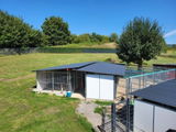 Stefan Müller Hundepension Wilhelmswalze review photo